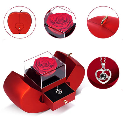 Encanto Eterno – Rosa + Caixa de Joias de Luxo